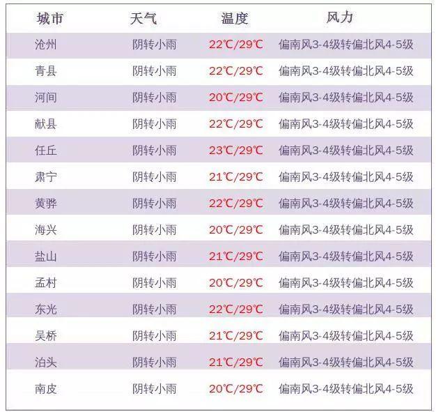 滄州公租房最新消息全面解讀，滄州公租房最新動(dòng)態(tài)全面解析