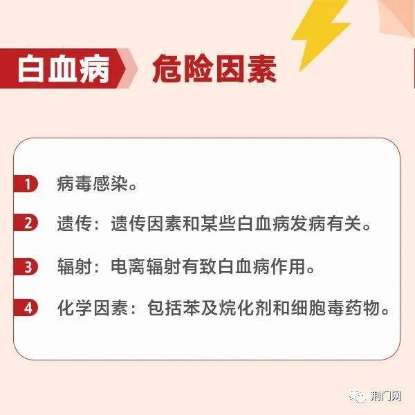 荊門最新招聘求職，探索職業(yè)發(fā)展的無限可能，荊門最新招聘求職信息，探索職業(yè)發(fā)展無限機遇