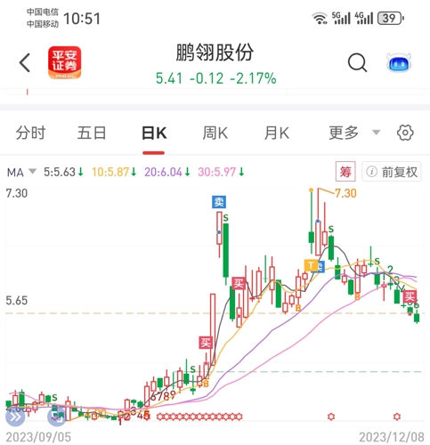 鵬翎股份最新消息全面解讀，鵬翎股份最新消息全面解讀與分析