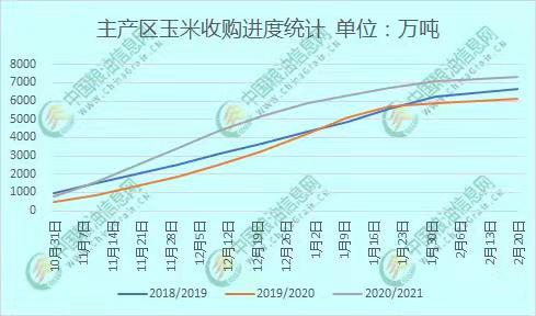 全國玉米價格最新行情分析，全國玉米價格最新行情解析