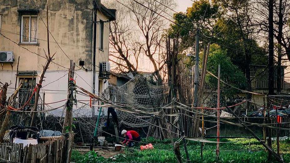 上海最新拆遷動態(tài)，變化中的城市面貌與居民生活，上海拆遷最新動態(tài)，城市面貌與居民生活的變遷