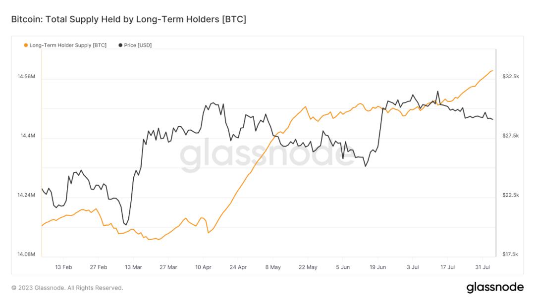 BTC最新價(jià)格行情分析，BTC最新價(jià)格行情解析