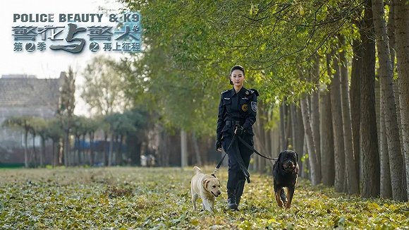 警花與警犬2最新消息，熱血回歸，人與犬的正義新篇章，警花與警犬2熱血回歸，人與犬的正義新篇章最新消息