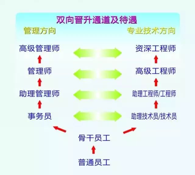 立訊精密最新招聘信息概覽，立訊精密最新招聘信息全面解析