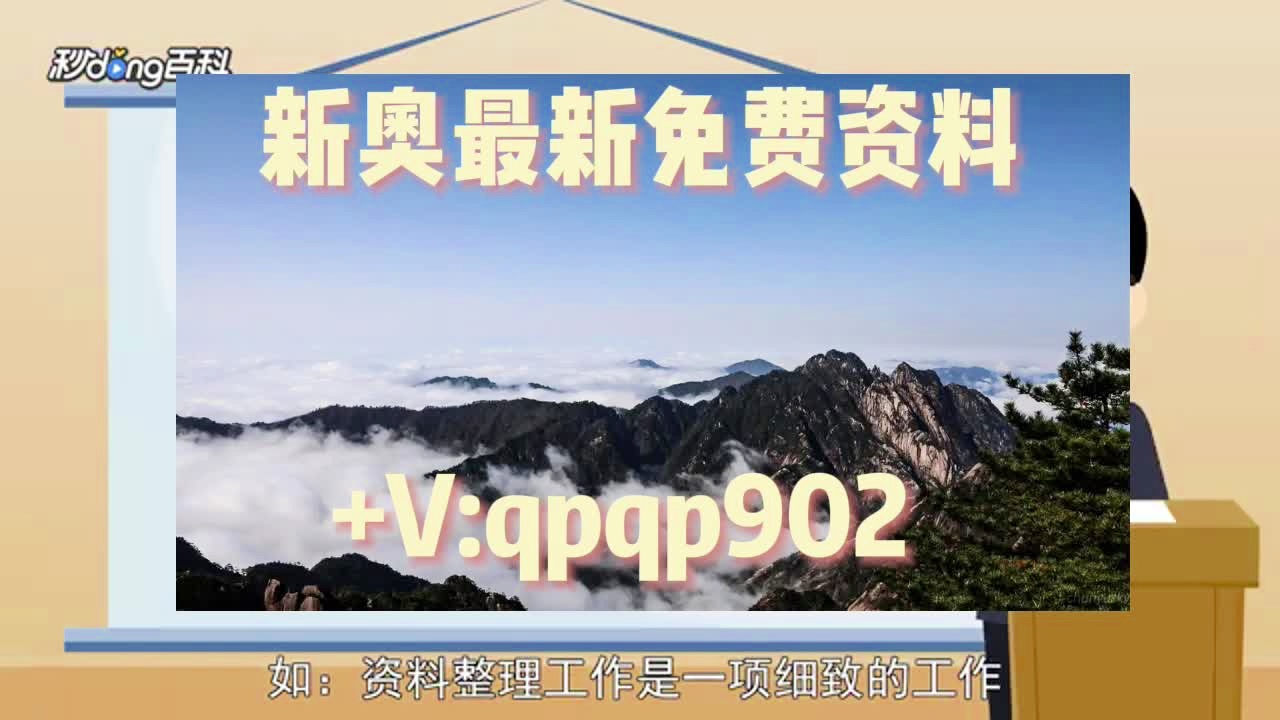 新奧2024年免費(fèi)資料大全詳解，新奧2024年免費(fèi)資料大全全面解析