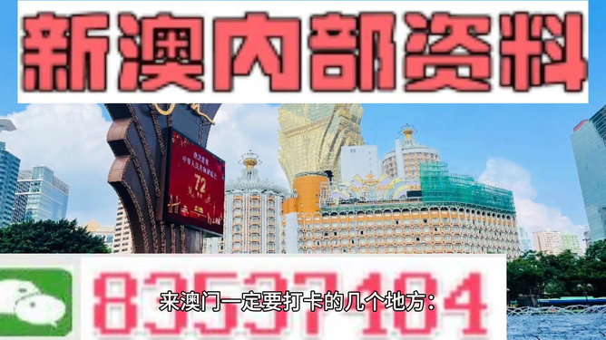 警惕新澳新澳門正版資料的潛在風(fēng)險——揭示違法犯罪問題，警惕新澳新澳門正版資料的潛在風(fēng)險，揭示違法犯罪真相