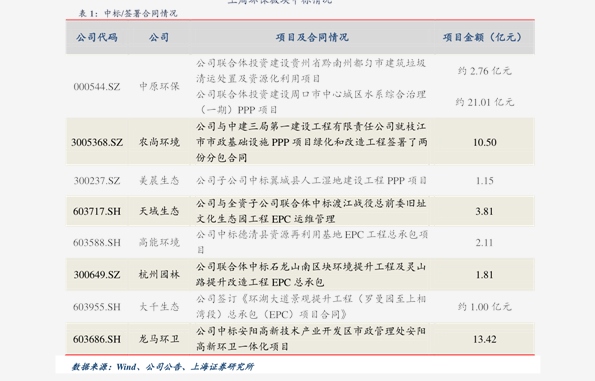 最新五角楓價格表及其市場分析，五角楓最新價格表與市場分析報告