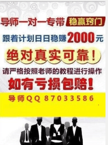 新澳門(mén)2024天天彩管家婆資料,全面解析數(shù)據(jù)執(zhí)行_戰(zhàn)略版25.336