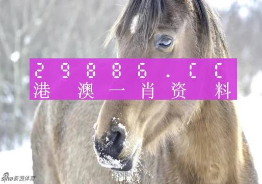 澳門精準(zhǔn)一肖一碼100%，揭示背后的違法犯罪問題，澳門精準(zhǔn)一肖一碼背后的違法犯罪問題揭秘