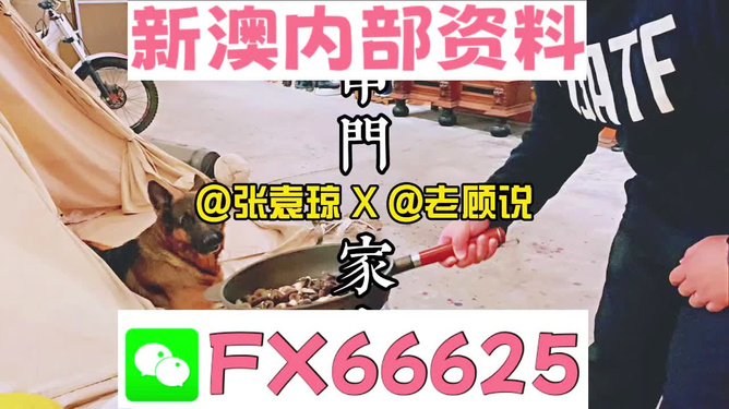 管家婆免費(fèi)資料大全公開(kāi)，探索與解析，管家婆免費(fèi)資料大全揭秘，探索與解析