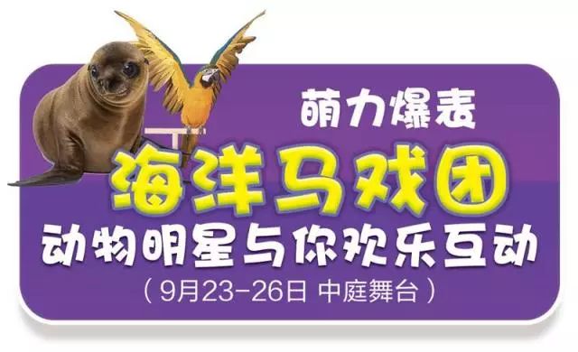 新奧門天天開獎資料大全，揭示背后的風(fēng)險與犯罪問題，新奧門天天開獎背后的風(fēng)險與犯罪問題揭秘