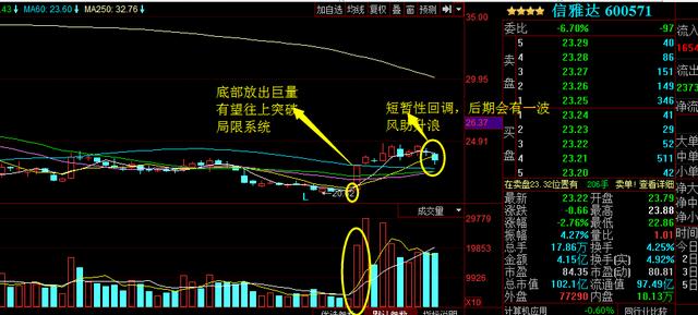 浙大網(wǎng)新為何不漲，深度探究與理性分析，浙大網(wǎng)新股價不漲背后的原因深度探究與理性分析