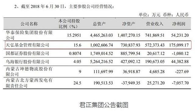 君正集團(tuán)未來(lái)估值，展望與預(yù)測(cè)