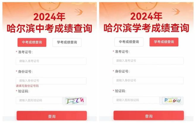 2024新澳最新開獎結(jié)果查詢——掌握彩票動態(tài)的必備指南，掌握彩票動態(tài)必備指南，2024新澳最新開獎結(jié)果查詢