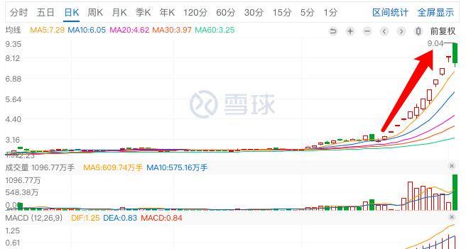 君正集團(tuán)，是妖股還是價(jià)值投資之選？，君正集團(tuán)，價(jià)值投資還是妖股之爭(zhēng)？