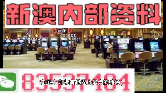 探索2024新澳精準(zhǔn)正版資料的價值與重要性，探索2024新澳精準(zhǔn)正版資料的重要性與價值