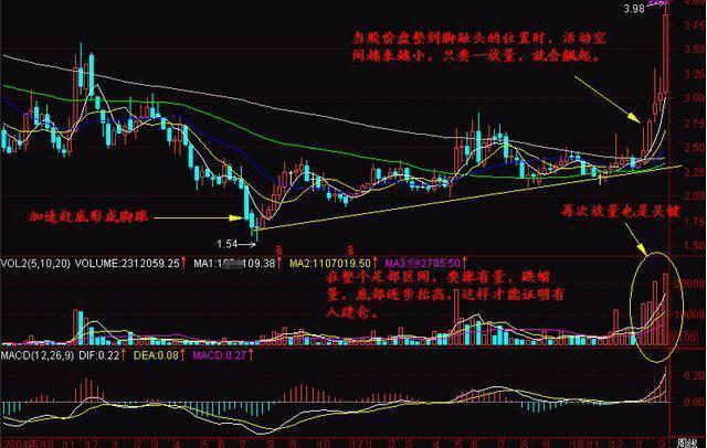 探尋未來之星，2025年有望翻十倍的潛力股票，探尋未來之星，潛力股票展望2025年十倍增長之路