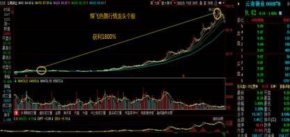 威爾泰股吧，探索企業(yè)潛力與機(jī)遇的舞臺(tái)，威爾泰股吧，企業(yè)潛力與機(jī)遇的探索舞臺(tái)