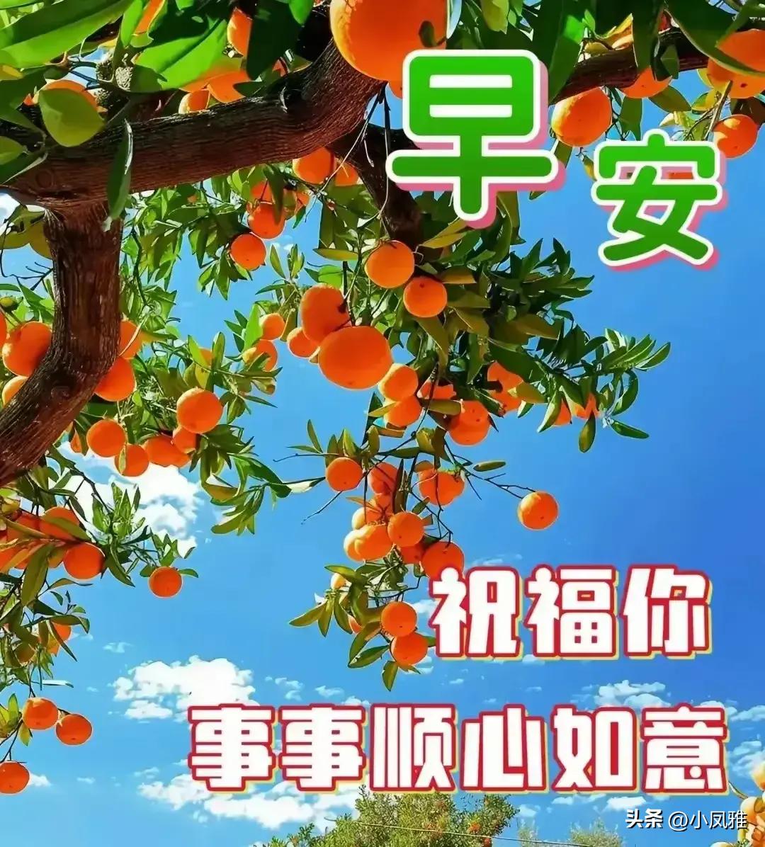 2024天天彩正版資料大全,科學(xué)數(shù)據(jù)評(píng)估_The19.620