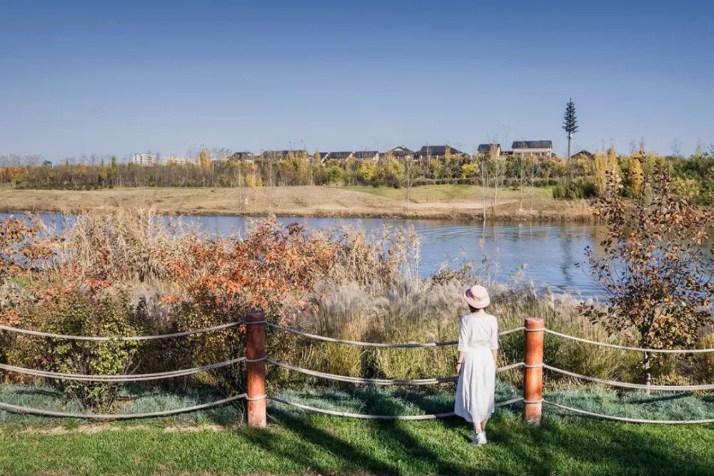 西安最新濕地公園，生態(tài)與文化的完美融合，西安最新濕地公園，生態(tài)與文化的和諧共融