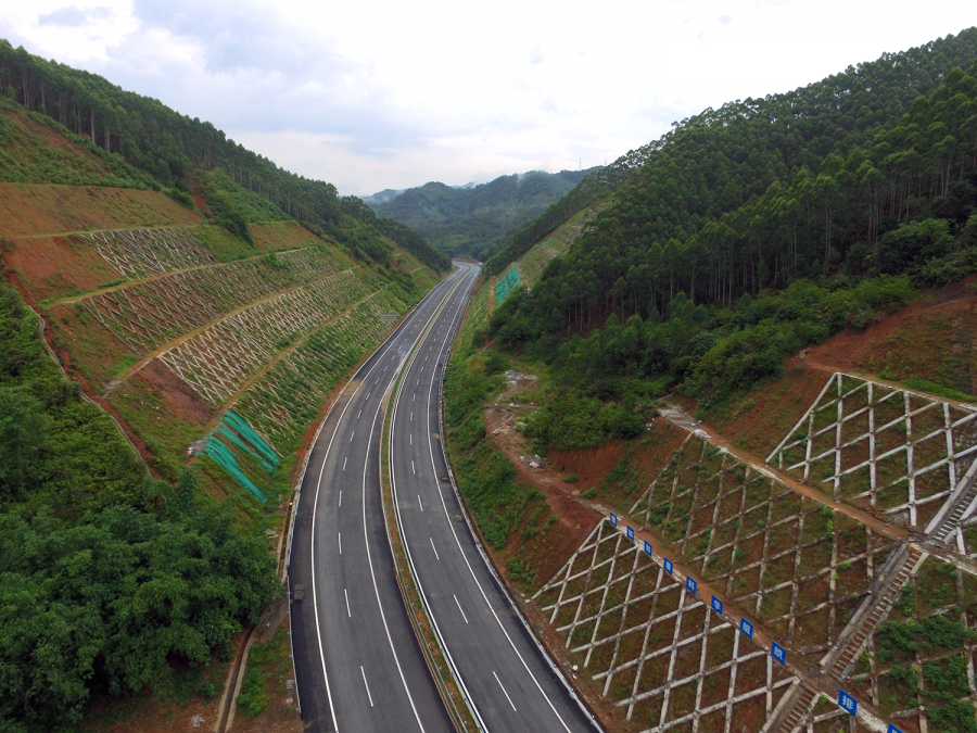 梧州最新道路，城市發(fā)展的脈絡(luò)與未來(lái)展望，梧州最新道路，城市發(fā)展的脈絡(luò)與未來(lái)展望展望