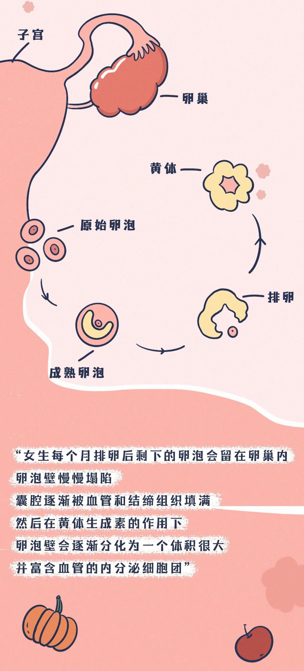 黃體破裂的早期癥狀及其影響，黃體破裂的早期癥狀與影響解析