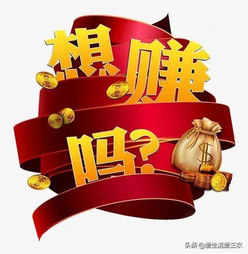 一天賺500，如何實(shí)現(xiàn)你的收入目標(biāo)，一天賺500，實(shí)現(xiàn)你的收入目標(biāo)指南