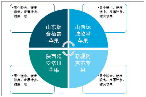 陜西蘋果產(chǎn)業(yè)全產(chǎn)業(yè)鏈深度解析，陜西蘋果產(chǎn)業(yè)全產(chǎn)業(yè)鏈深度探究