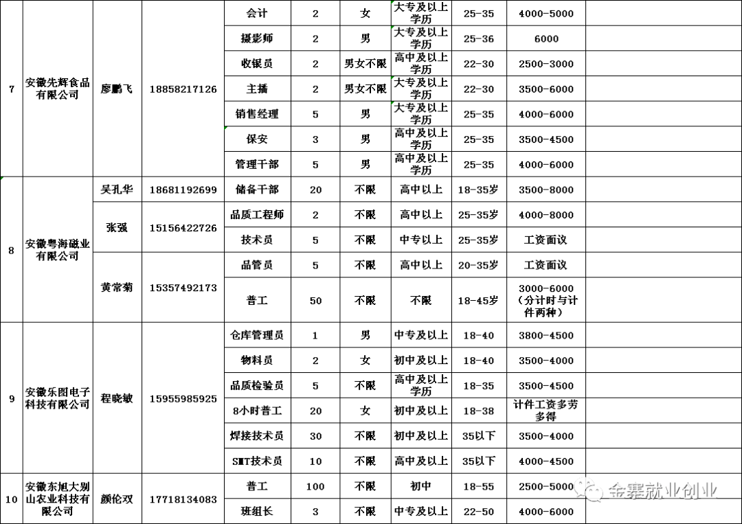 金寨在線最新招聘信息概覽，金寨在線最新招聘信息全面解析