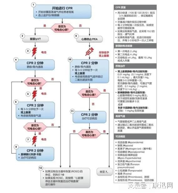 最新CPR（心肺復(fù)蘇術(shù)）流程詳解，最新CPR（心肺復(fù)蘇術(shù)）流程全面解析