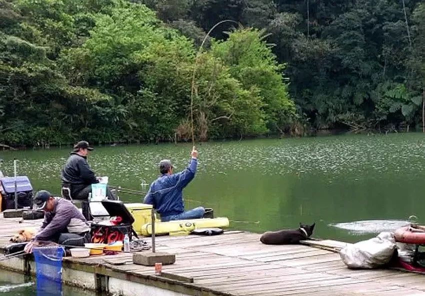 釣魚圈的奇事趣聞，釣魚圈里的奇聞趣事