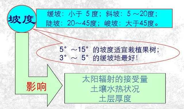 坡度超過25度耕地減少的原因分析，坡度超過25度耕地減少的原因探究