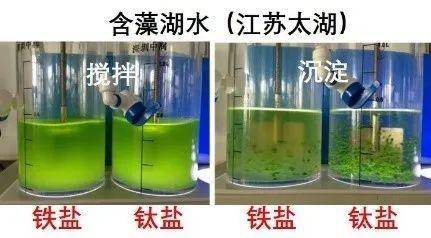 最新凈水材料的革新與應用，凈水材料革新與應用進展