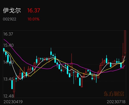 伊戈?duì)柟砂蓶|方財(cái)富，股市新星與投資者的新選擇，伊戈?duì)柟砂蓶|方財(cái)富，股市新星，投資者的新選擇