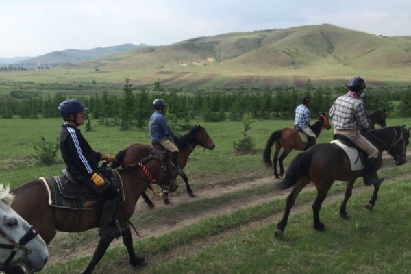 關(guān)于澳門特馬今晚開獎的討論與警示，澳門特馬今晚開獎討論及警示