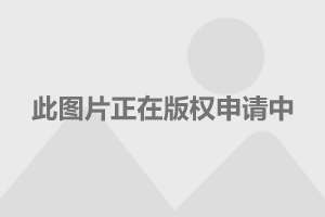 電視劇護心演員表深度解析，電視劇護心演員表深度解析與角色剖析