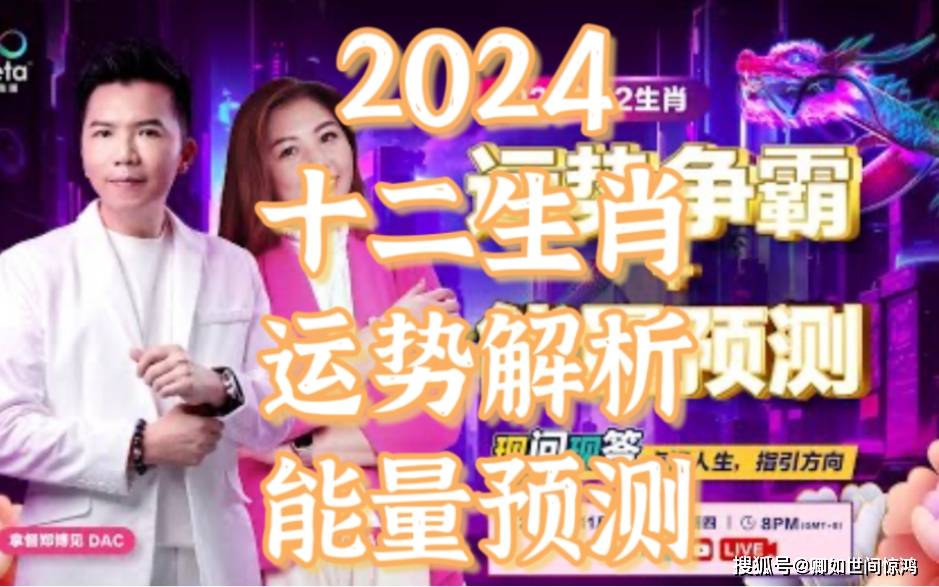 管家婆一碼中一肖2024：精準生肖運勢指南