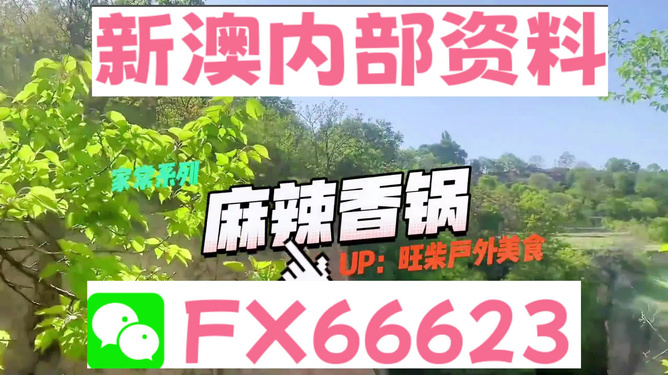 新澳精準(zhǔn)資料免費(fèi)提供的深度解析，新澳精準(zhǔn)資料深度解析，免費(fèi)提供的內(nèi)幕揭秘