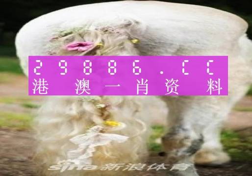 澳門內(nèi)部資料精準大全2023，揭示背后的風險與挑戰(zhàn)，澳門內(nèi)部資料精準大全揭秘，風險與挑戰(zhàn)并存于2023年