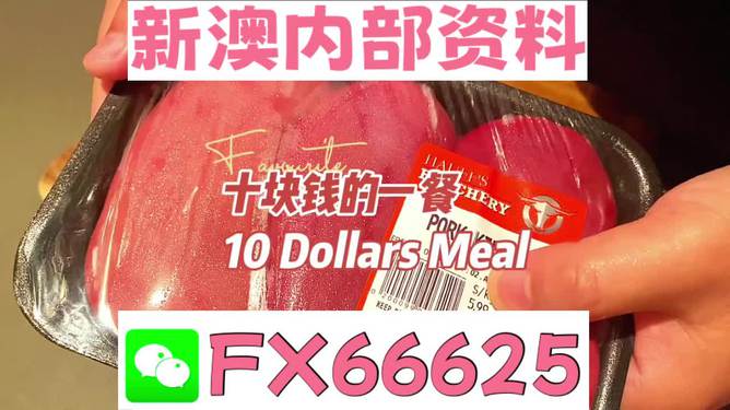 新澳全年免費(fèi)資料大全，探索與收獲，新澳全年免費(fèi)資料大全，探索之旅與收獲的時(shí)刻