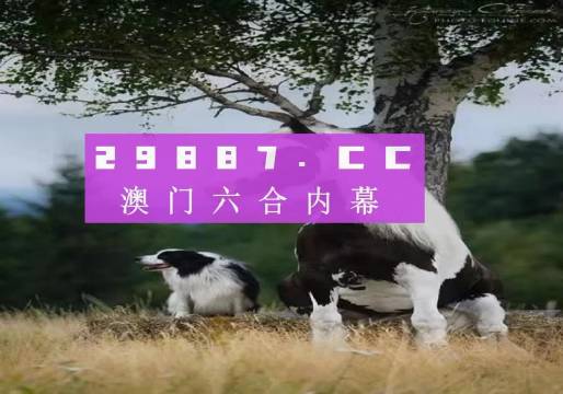 澳門今晚開特馬四不像圖——探索澳門彩票的奧秘，澳門彩票奧秘探索，特馬四不像圖今晚揭曉