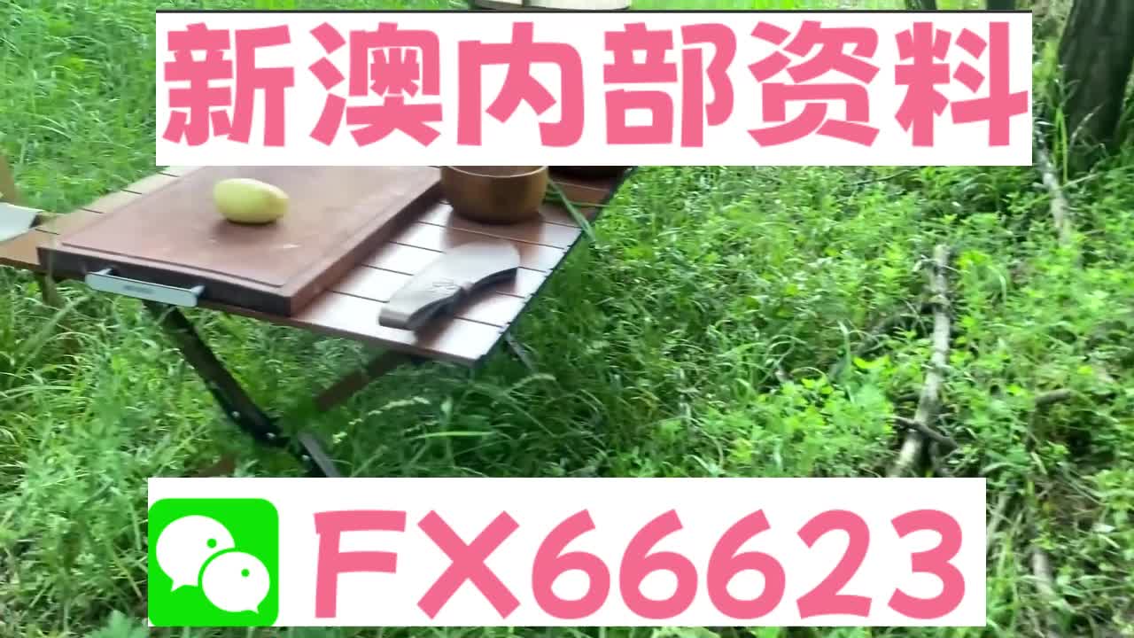 新澳天天開(kāi)獎(jiǎng)資料大全與旅游攻略詳解，新澳天天開(kāi)獎(jiǎng)資料及旅游攻略詳解大全