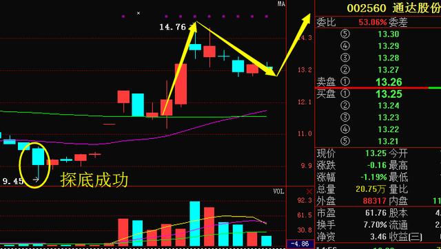 通達(dá)股份股票股吧，深度解析與前景展望，通達(dá)股份股票股吧深度解析及前景展望