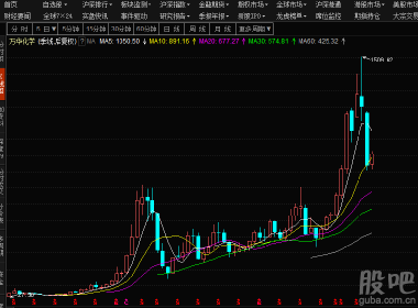 股吧600309，深度解析與前景展望，股吧600309深度解析與未來前景展望