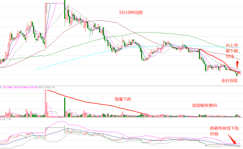 股票000962，深度解析與前景展望，股票000962深度解析與未來前景展望