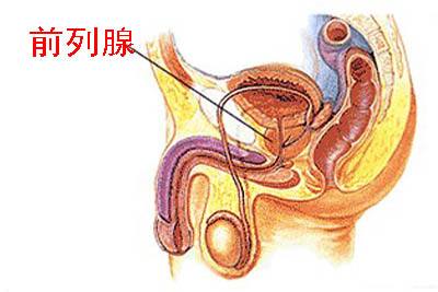 前列腺自我按摩手法圖解，一種有效的自我保健方法，前列腺自我按摩手法圖解，有效保健新方法！