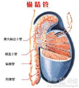 男性結(jié)扎手術(shù)費(fèi)用多少，全面解析費(fèi)用構(gòu)成與影響因素，男性結(jié)扎手術(shù)費(fèi)用詳解，構(gòu)成、影響因素全解析