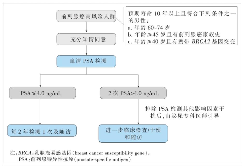 男性健康咨詢(xún)?cè)诰€，探索新時(shí)代男性健康之路，男性健康咨詢(xún)?cè)诰€，探索新時(shí)代男性健康之路的旅程