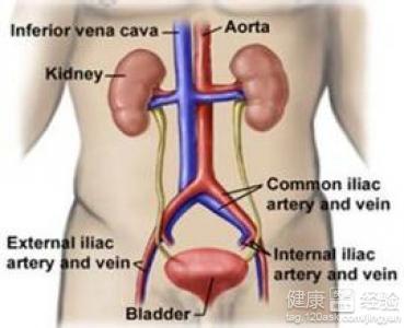 前列腺疾病的治療與藥物選擇，前列腺疾病治療與藥物選擇攻略