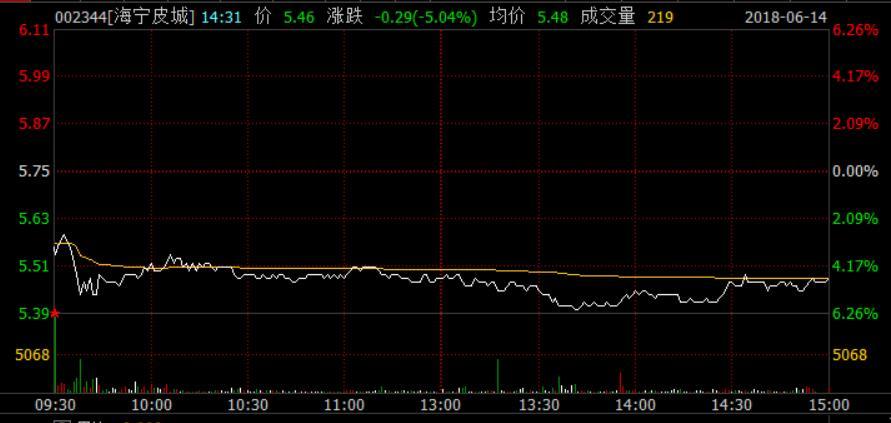 海寧皮城(002344)股吧深度解析，海寧皮城(002344)股吧全面深度解析